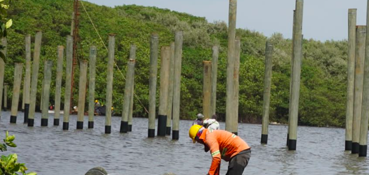 Barranquilla ejecuta una revolución en infraestructura 'verde' contra el  cambio climático – Noticias Coopercom